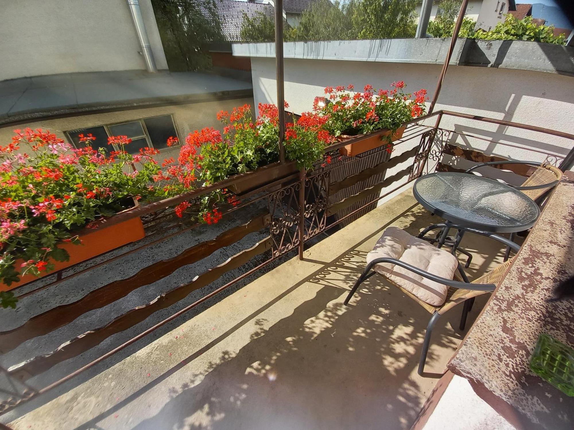 Rooms Apartma Cerknica Kültér fotó
